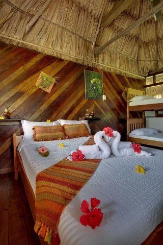 Ian Andersons Caves Branch Jungle Lodge Belmopan Dış mekan fotoğraf
